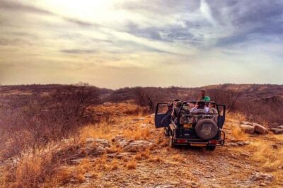 From Jaipur: Praivte Ranthambore Tour By Jeep Canter Safari - Entering Ranthambore: afternoon timing and how safari windows work
