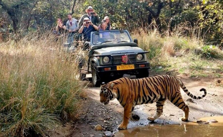 From Jaipur: Praivte Ranthambore Tour By Jeep Canter Safari - Rural Women Craft in Ranthambore: a real cultural stop, not just a detour