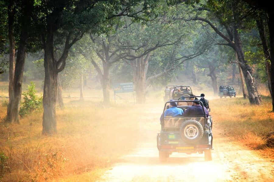 From Jaipur: Ranthambore National Park Day Trip with Safari - The naturalist guide: what you should hope to learn