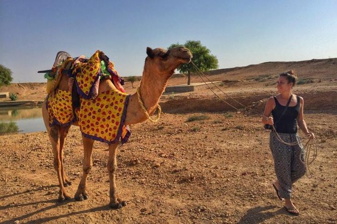 From Jodhpur : Overnight Stay In Desert With Camel Safari - Who should book this overnight camel safari, and who should skip
