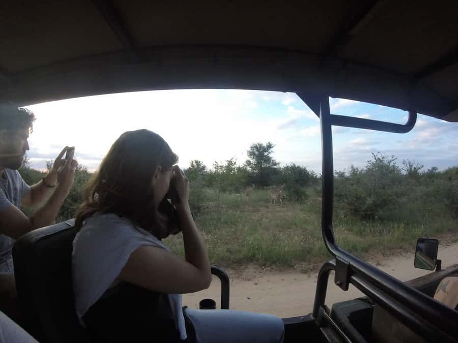 From Johannesburg: 3-Day Budget Tent Kruger Park Safari - Key highlights at a glance