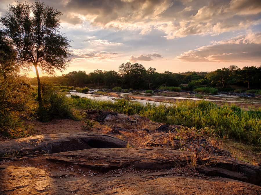 From Johannesburg: 3-Day Budget Tent Kruger Park Safari - Entering Kruger territory in 3 days without losing your mind