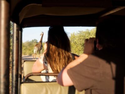 From Johannesburg: 3-Day Budget Tent Kruger Park Safari - The Johannesburg to Tremisana start: getting oriented fast