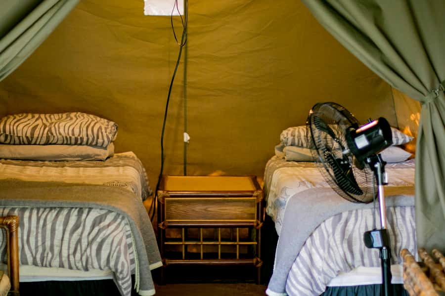 From Johannesburg: 3-Day Budget Tent Kruger Park Safari - Campfire Academy tent nights: comfort, safety, and how to choose wisely