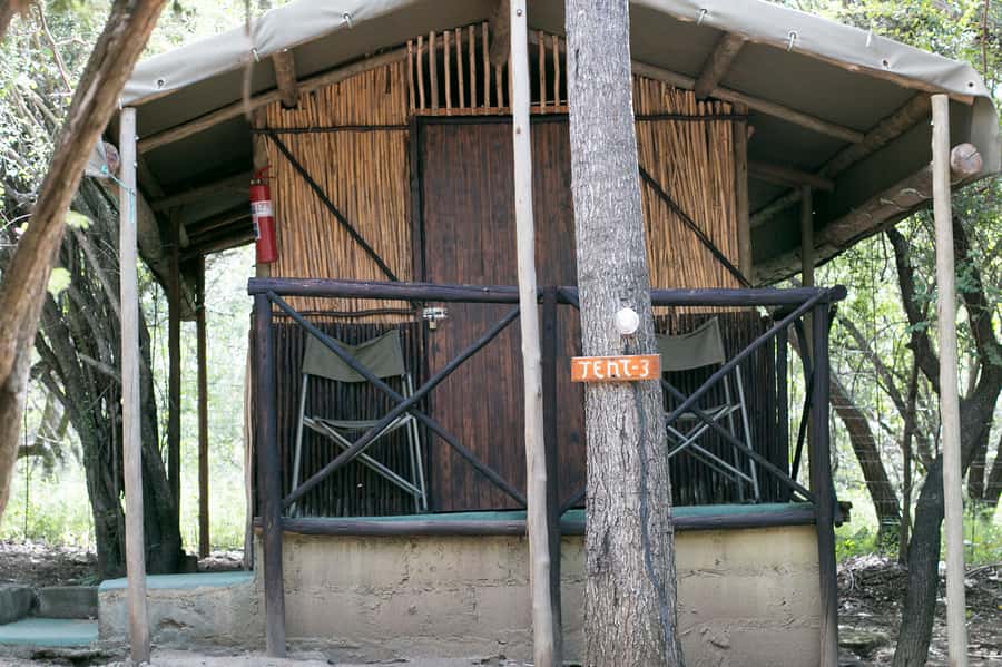 From Johannesburg: 3-Day Budget Tent Kruger Park Safari - Marc’s Camp: dinner, then an early walk with an armed guard