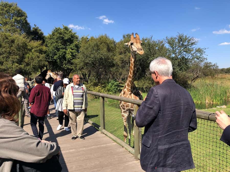 From Johannesburg: Cradle of Humankind and Lion Safari - Key things I’d circle on your planning map