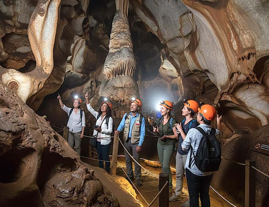From Johannesburg: Cradle of Humankind and Lion Safari - From Johannesburg to lions and human origins in one day