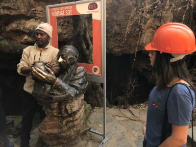 From Johannesburg: Cradle of Humankind and Lion Safari - Lion Park safari: getting that up-close look safely