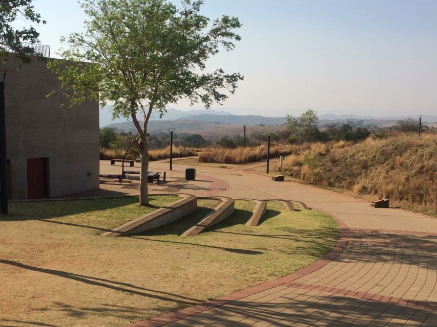 From Johannesburg: Cradle of Humankind and Lion Safari - The ride schedule and why it feels like a full day