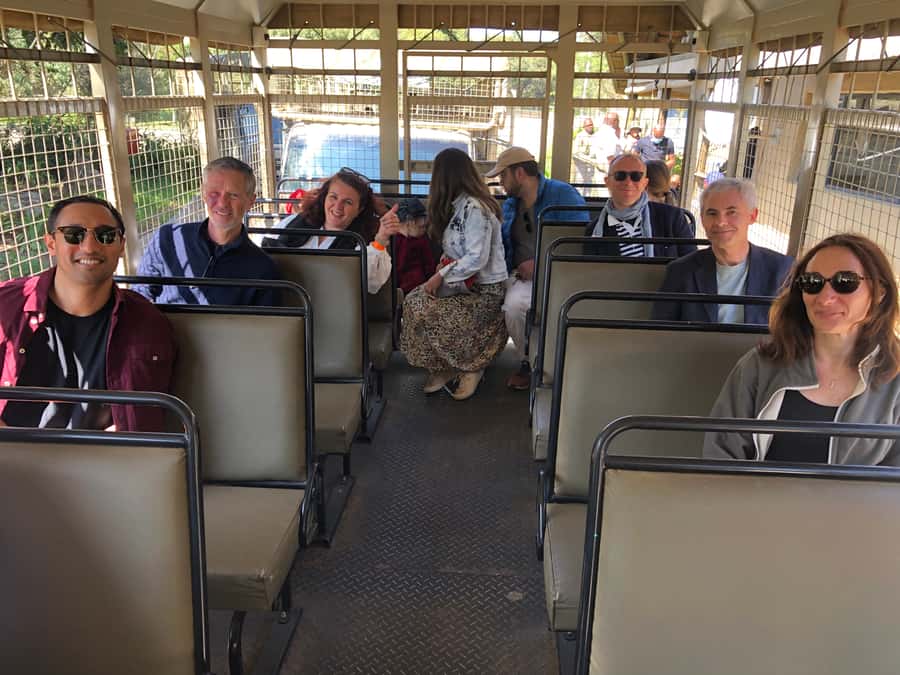 From Johannesburg: Cradle of Humankind and Lion Safari - Price and value: what $224 buys you (and what it doesn’t)