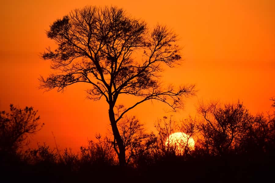 From Johannesburg: Kruger National Park 3-Day Safari - Three days in Kruger: what this package really delivers