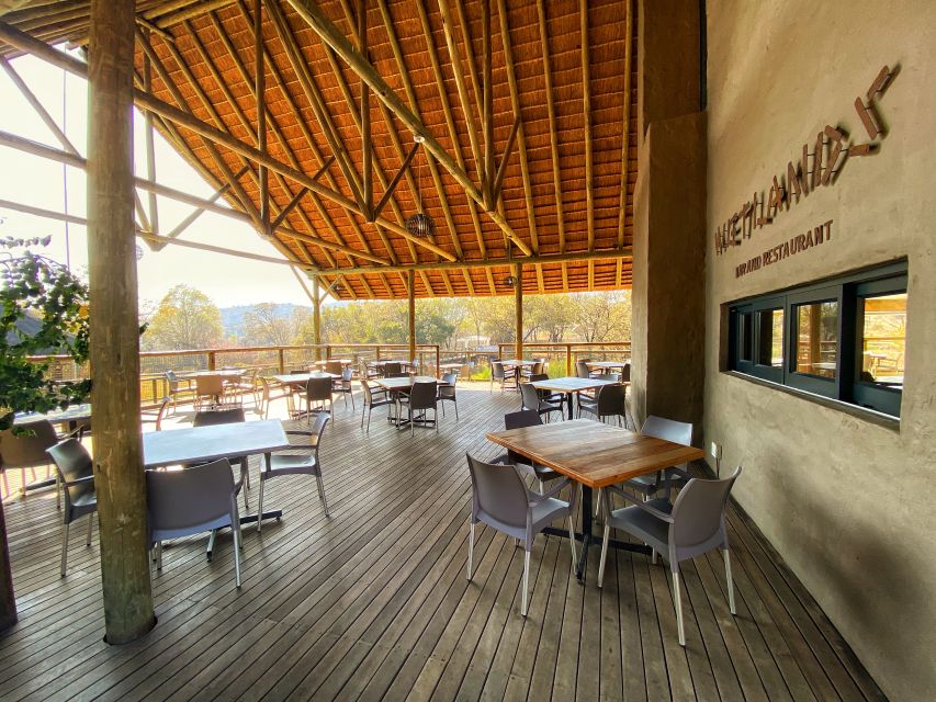 From Johannesburg: Lion & Safari Park Half-Day Tour - The 1-hour open-vehicle safari drive: where the magic happens