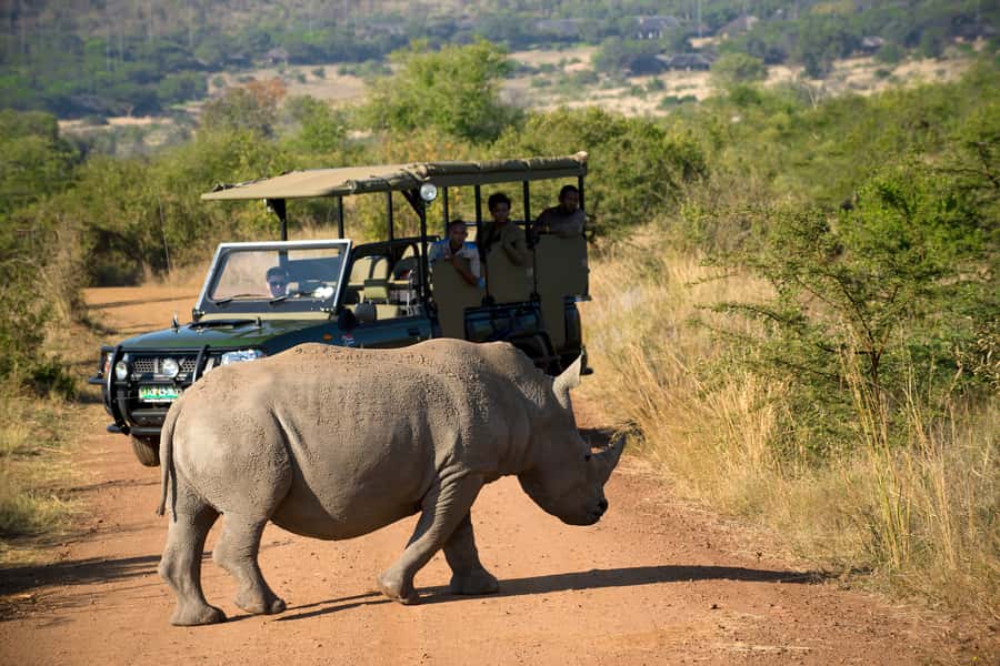 From Johannesburg: Pilanesberg Nature Reserve Game Safari - Johannesburg to Pilanesberg: the drive that sets the tone