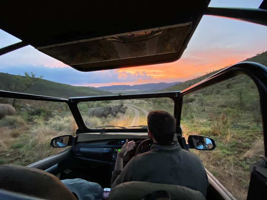 From Johannesburg: Pilanesberg Nature Reserve Game Safari - Big 5 odds in Pilanesberg: what you’re really buying