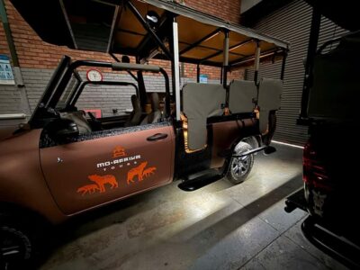 From Johannesburg: Pilanesberg Nature Reserve Game Safari - Two open-vehicle game drives: how you maximize sightings