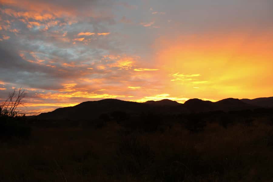 From Johannesburg: Pilanesberg Nature Reserve Game Safari - What to pack for open-jeep wind and temperature swings
