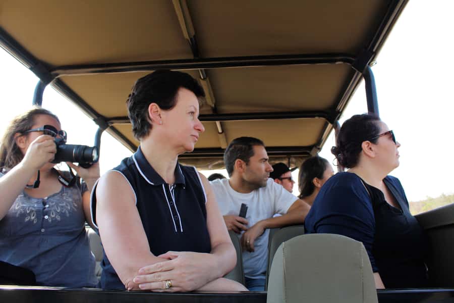 From Johannesburg: Pilanesberg Nature Reserve Game Safari - Who should book this day trip, and who should skip it