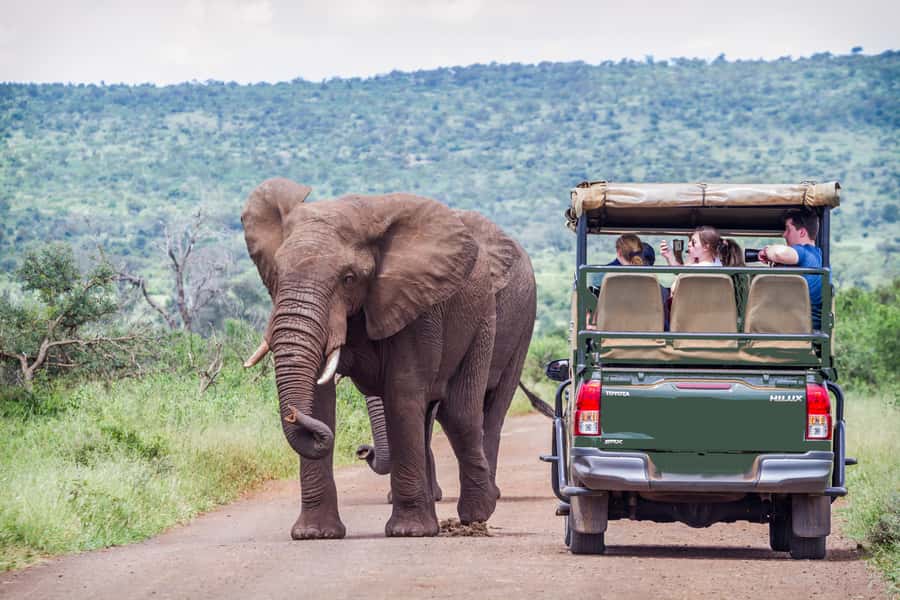 From Johannesburg: Pilanesberg Wildlife Safari - Key things to know before you go