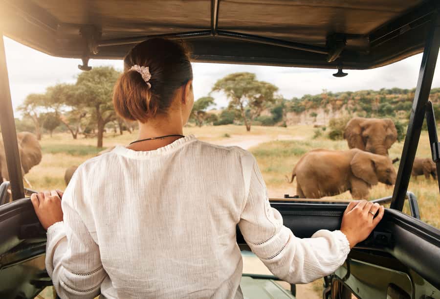 From Johannesburg: Pilanesberg Wildlife Safari - The second game drive: 2 hours for second chances and better photos