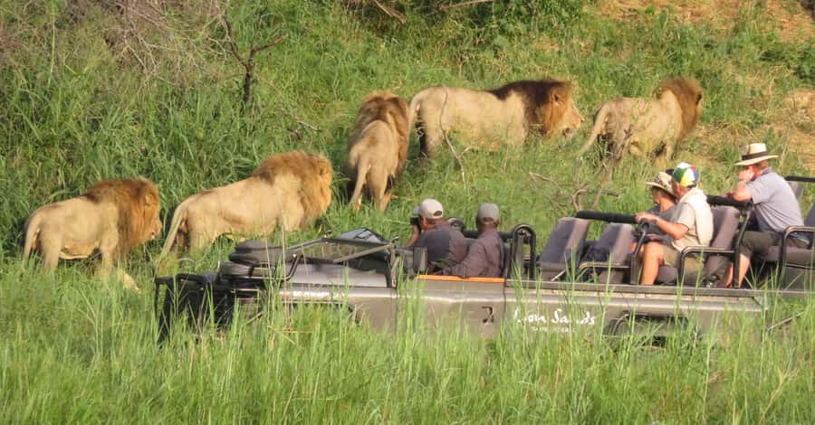 From Kasane: Chobe National Park Full Day Wildlife Safari - Why Chobe River from Kasane is the real deal