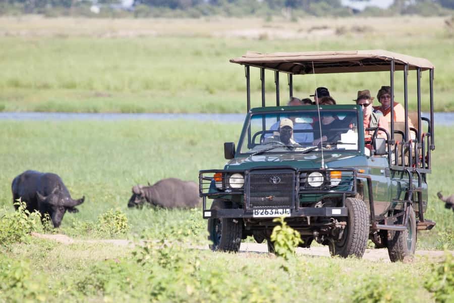 From Kasane: Chobe National Park Full Day Wildlife Safari - Lunch at Cresta Mowana Safari Lodge: practical reset time