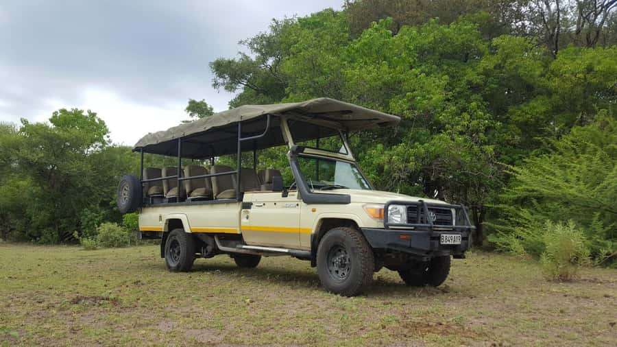 From Kasane: Chobe National Park Full Day Wildlife Safari - Who should book this Chobe day safari from Kasane