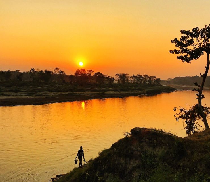 From Kathmandu/Pokhara: 3-Day All-Inclusive Chitwan Safari - Key highlights you’ll actually feel on the ground