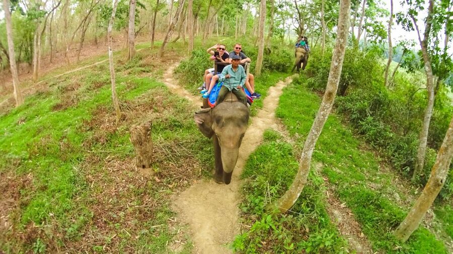 From Kathmandu/Pokhara: 3-Day All-Inclusive Chitwan Safari - Rapti River canoe ride: where wildlife shows up sideways