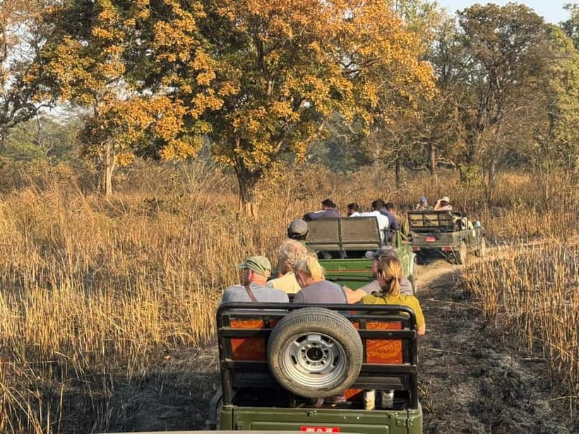 From Kathmandu/Pokhara: 3 Days All-Inclusive Chitwan Safari - Who this safari suits best (and who should rethink it)