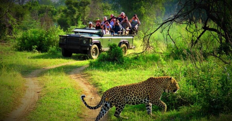 From Kathmandu/Pokhara: Private 3-Day Chitwan Safari Tour - How the Tour Works: Hotel Pickup, Bus Ride, and Chitwan Base
