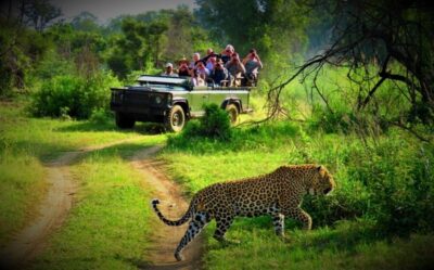 From Kathmandu/Pokhara: Private 3-Day Chitwan Safari Tour - Day 1: Cultural Show, Nepali Dinner, and Your First Night in Chitwan