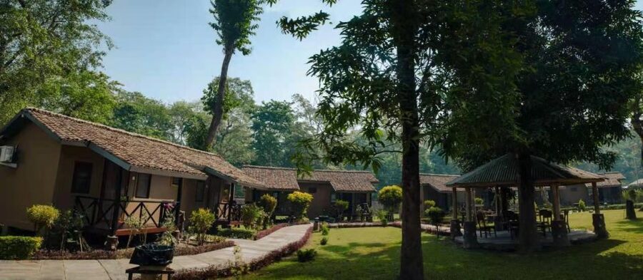 From Kathmandu/Pokhara: Private 3-Day Chitwan Safari Tour - Day 3 Nature Walk and Tharu Village Culture