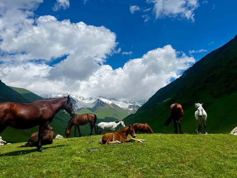 From Kutaisi: Svaneti Mountain Villages 2-Day 4x4 Safari - Mestia old town: towers, a lift option, and museum time
