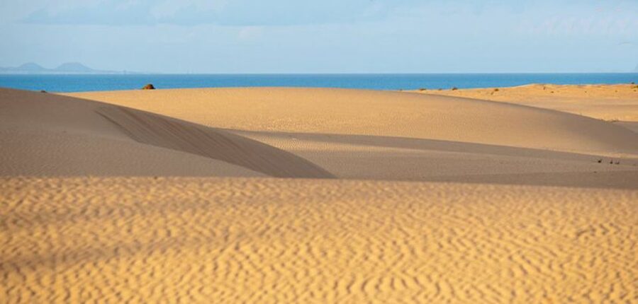 From Lanzarote: Corralejo Buggy Safari - Key things to know before you go