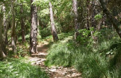 From Larnaca: Grand Tour Jeep Safari - The Off-Road Part: Fun, Windy, and Definitely Bumpy