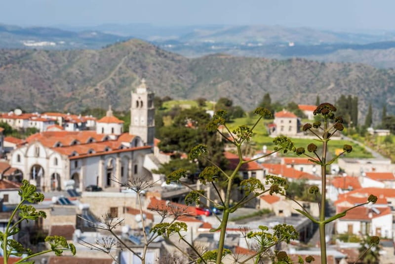 From Larnaca: Grand Tour Jeep Safari - Dipotamos Reservoir: A Fast Photo Stop That Sets the Tone