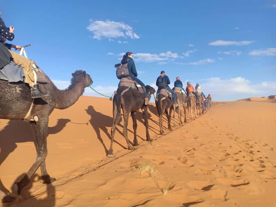 From Marrakech: 4-Day Morocco Sahara Desert Experience - High Atlas to Ait Ben Haddou: watching Morocco change fast