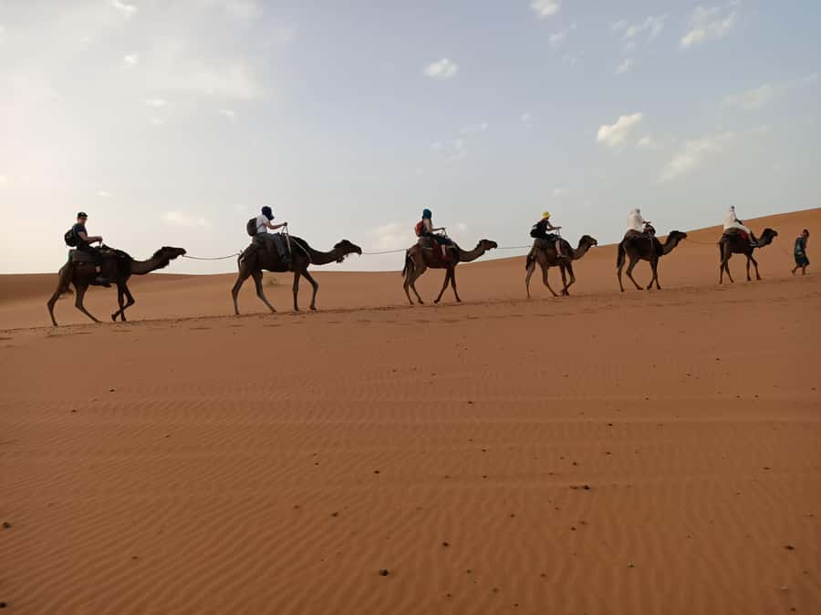 From Marrakech: 4-Day Morocco Sahara Desert Experience - Dades Valley and Kasbah Safari Rose: a pool break and a proper night
