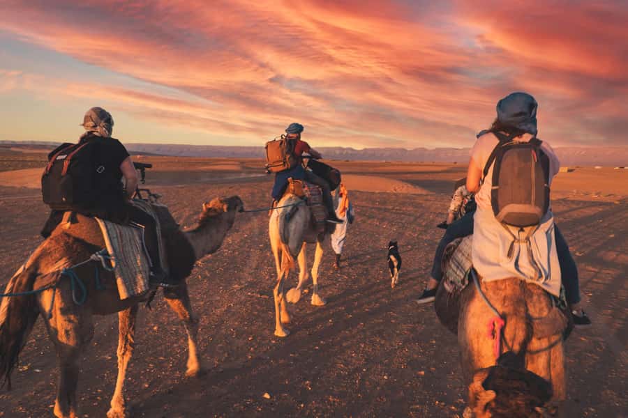From Marrakech: Zagora 2-Day Desert Safari with Food & Camp - Why I think Ait Ben Haddou is better with a strategy