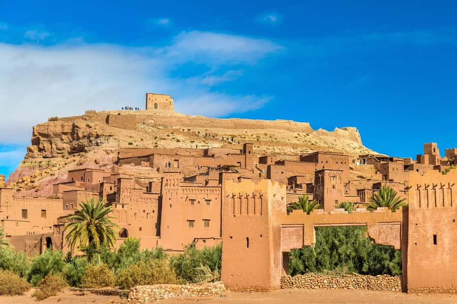 From Marrakech: Zagora 2-Day Desert Safari with Food & Camp - Day 2: breakfast, camel back to the road, then return to Marrakech