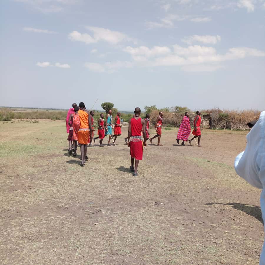 From Nairobi: 3 Days, 2 Nights Maasai Mara Group Safari - Price and logistics: where the $199 value really lands