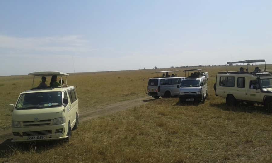 From Nairobi: 3 Days, 2 Nights Maasai Mara Group Safari - Your camp reality check: big private tent, hot water, and the small comfort trade-offs