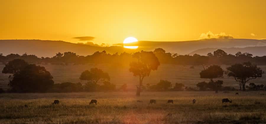 From Nairobi: 4-Day Maasai Mara and Lake Nakuru Group Safari - Nairobi start: the Rift Valley viewpoints set your expectations
