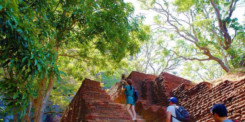 From Negombo: Sigiriya and Dambulla Day Trip and Safari - Dambulla Cave Temple: murals, golden statues, and timing around worship