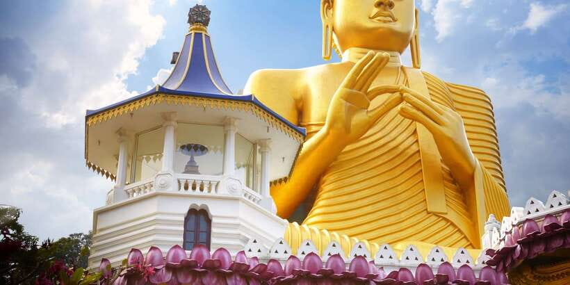 From Negombo: Sigiriya and Dambulla Day Trip and Safari - Who this trip fits best (and who should think twice)