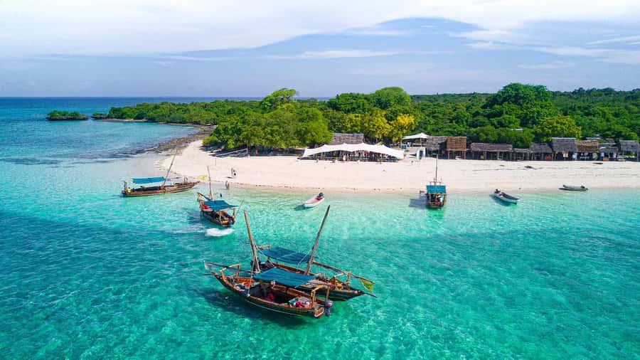 From Paje/Jambian: Safari Blue Snorkelling with Lunch - Key Points to Know Before You Go