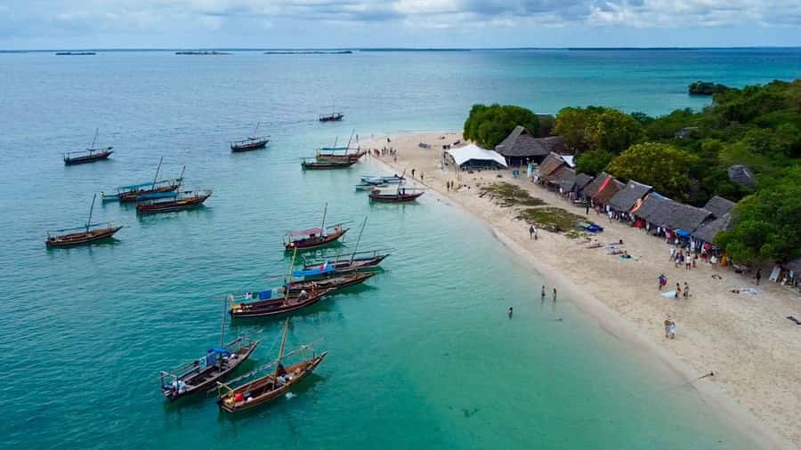 From Paje/Jambian: Safari Blue Snorkelling with Lunch - What You Get for the $90 Price (and Why It Can Still Be Worth It)