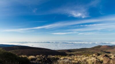 From Playa de las Américas: Full-Day Teide Jeep Safari - El Teide National Park: Volcanic Evidence You Can See