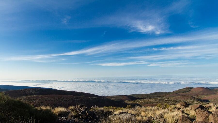 From Playa de las Américas: Full-Day Teide Jeep Safari - El Teide National Park: Volcanic Evidence You Can See