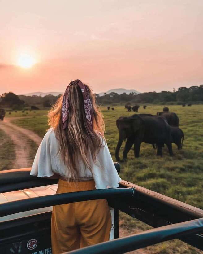From Sigiriya: Minneriya National Park Elephant Safari - From Sigiriya to the park: what the 4-hour format really means